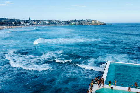 Sydney Signature Full Day Tour | For 1 - 11 People