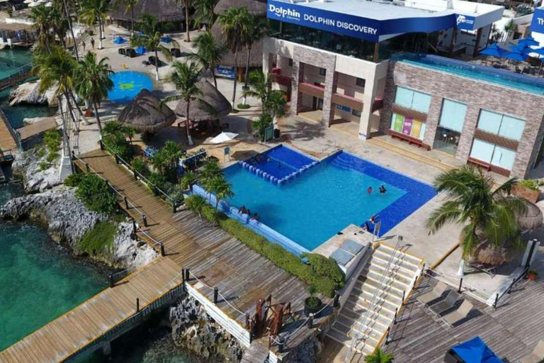 From Cancun: Isla Mujeres Ferry Trip with Buffet Lunch