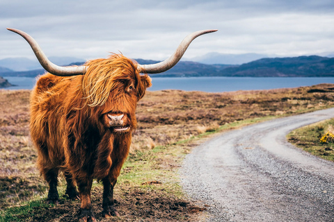 Au départ d'Édimbourg : 3 jours sur l'île de Skye, les Highlands et le Loch NessCircuit sans hébergement