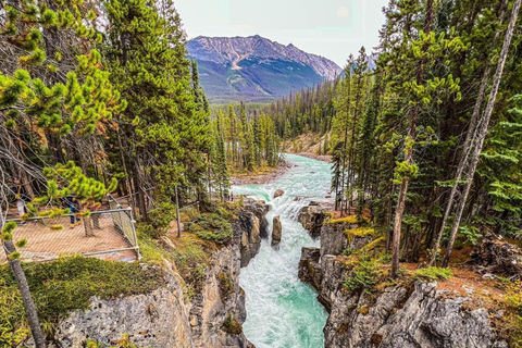 Banff National Park: Lake Louise, Moraine Lake &amp; Banff Tour