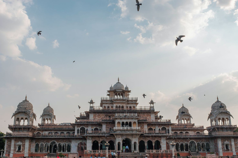 Excursão privada pela cidade de Jaipur com guia de carroVisita guiada a Jaipur de carro