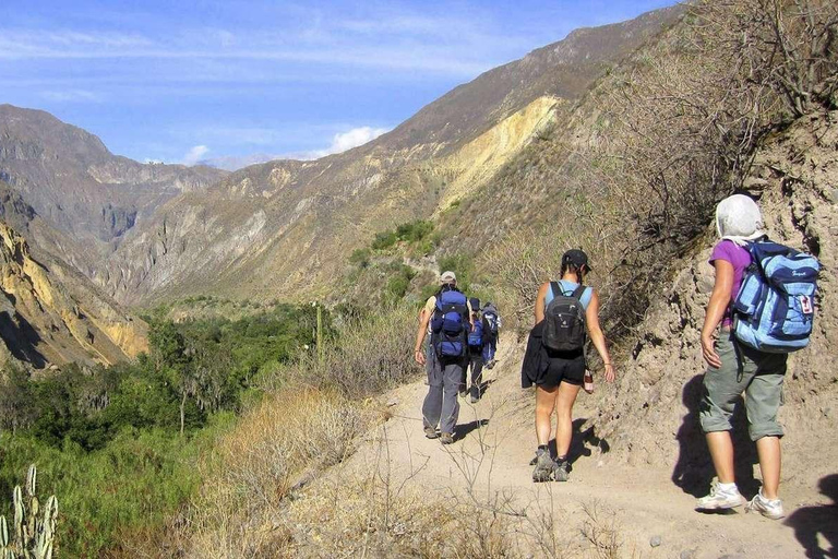 Trekking dans le Canyon de Colca de 2 jours et 1 nuit