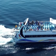 Torrevieja: Glass Bottom Boat Excursion to Tabarca