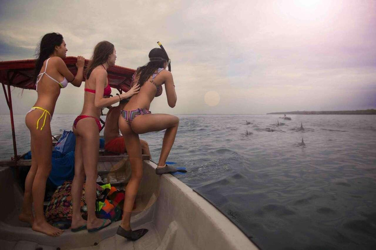 Mnemba Island Snorkeling, Sea Turtles & The Rock Restaurant