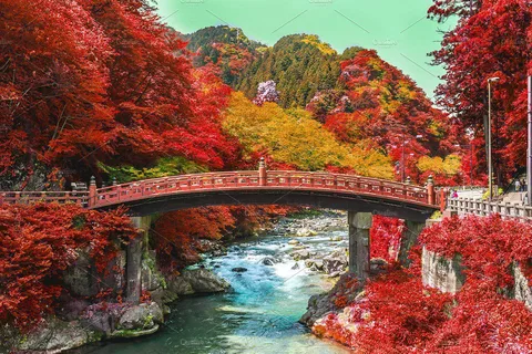 Excursion d'une journée à Nikko depuis Tokyo avec chauffeur parlant anglais