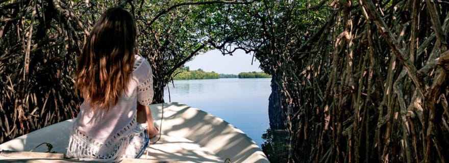 Au départ de Kalutara : Safari exclusif sur la rivière Madu et l'écloserie de tortues