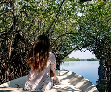 Da Kalutara: Safari esclusivo sul fiume Madu e incubatrice di tartarughe
