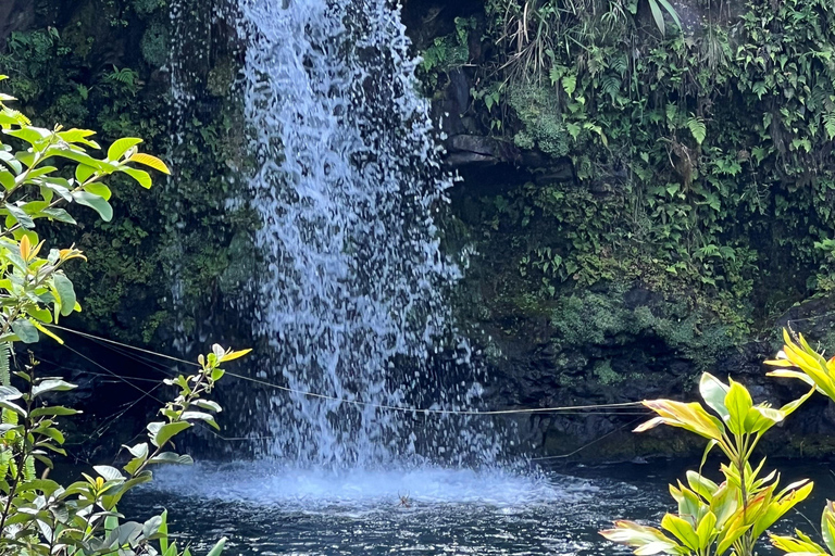 Oahu to Maui: Road to Hana Adventure Tour with Air Ticket