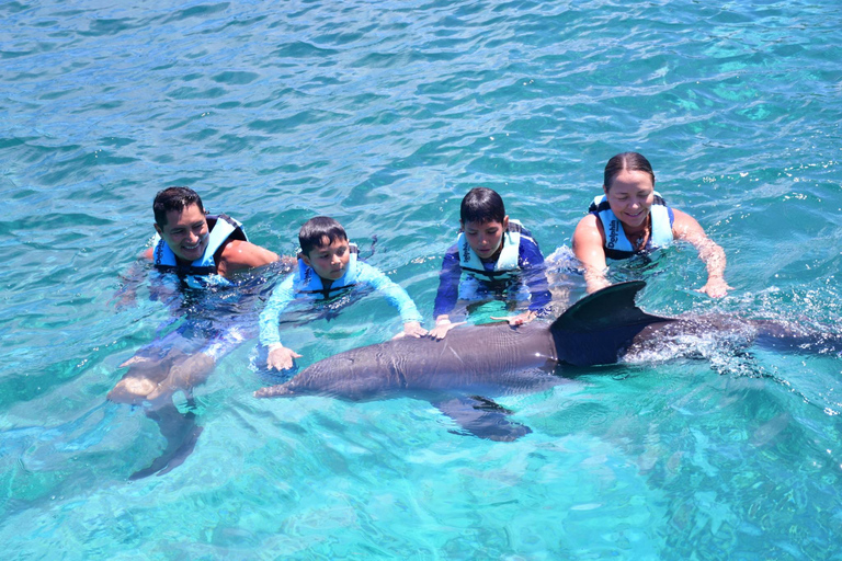 CANCUN: Catamaran and Dolphin Connection at Isla Mujeres