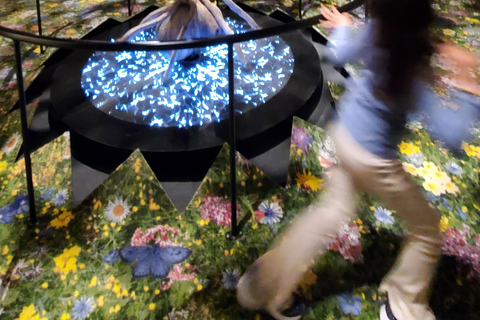 Møns Klint: Forest Tower, Møns Klint, and Fossil Hunt Tour UNESCO Møns Klint and Forest Tower Tour