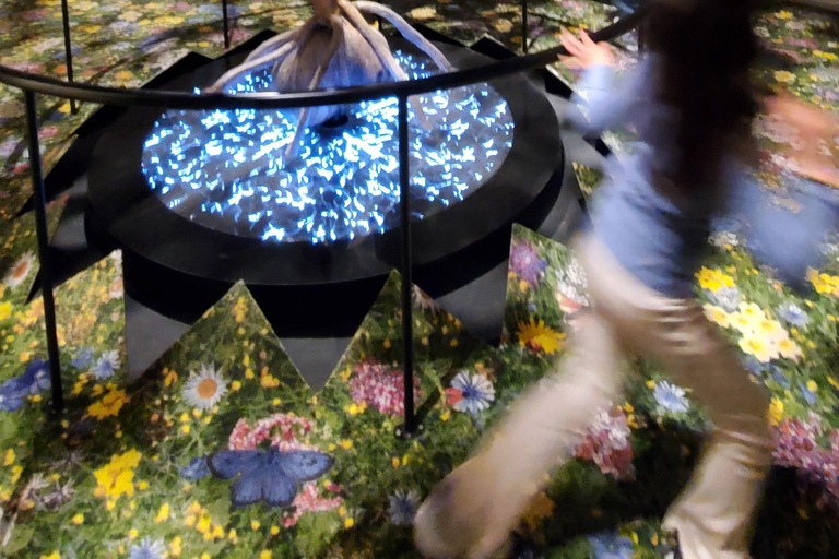 Møns Klint: Forest Tower, Møns Klint, and Fossil Hunt Tour UNESCO Møns Klint and Forest Tower Tour