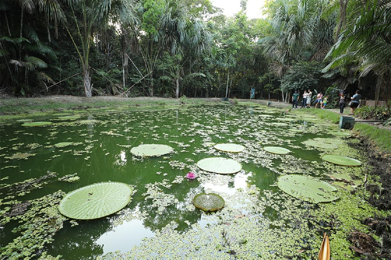 Manaus : Visit to MUSA (Amazon Museum)