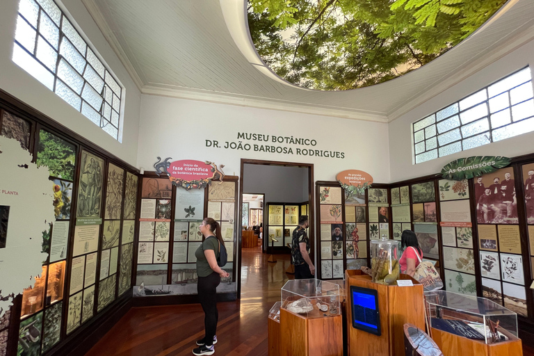圣保罗：植物园与生物学家导览游（周末）生物学家带你游览圣保罗植物园