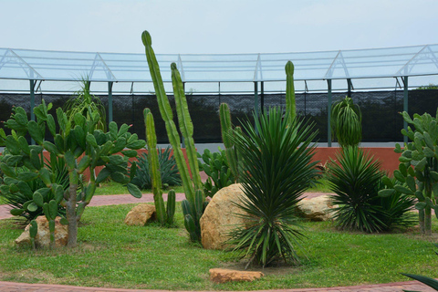 Hiriketiya: Yala Wildlife & Dry Zone Nature Experience