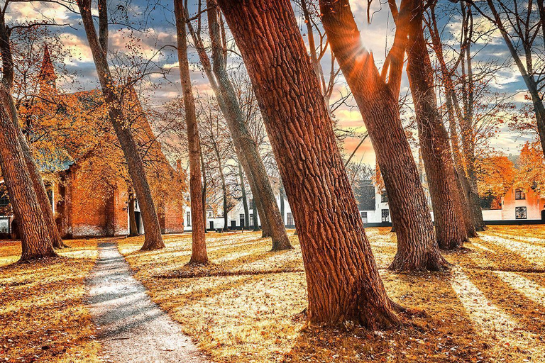 Bruges: Backstage Pass City Tour with Chocolate & Waffles