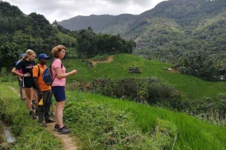 Kandy: Heeloya Village Tour with Lunch and Guide