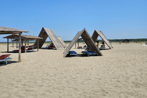 Från Durrës: Divjakë-Karavasta nationalpark dagsutflykt