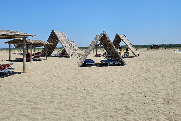 Från Durrës: Divjakë-Karavasta nationalpark dagsutflykt