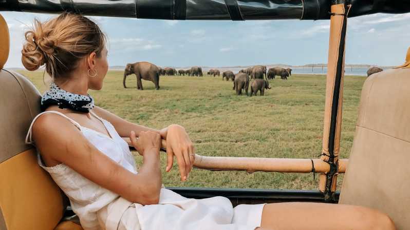 From Ella: Shuttle to Tangalle/Hiriketiya w Udawalawe Safari