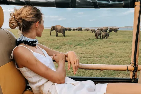 De ELLA para ARUGAM-BAY, traslado com o YALA Safari Tour