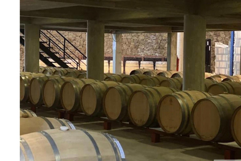 Colonia: Winery, Olive Oil & Gourmet Lunch Tour