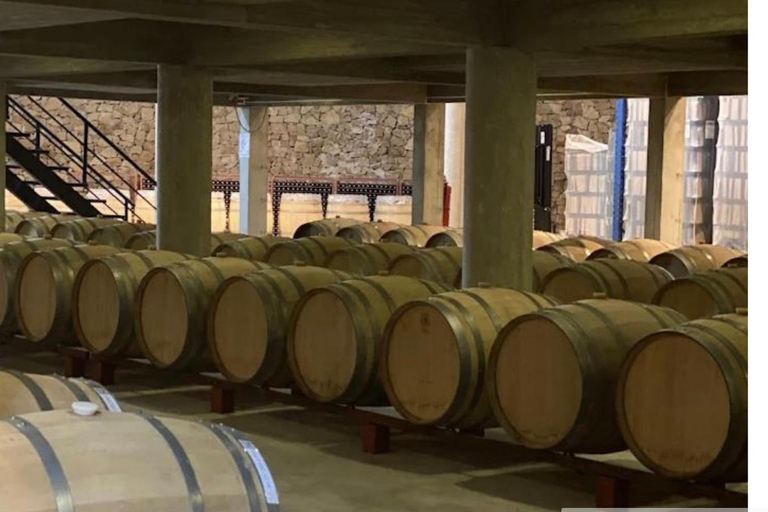 Colonia: Winery, Olive Oil & Gourmet Lunch Tour