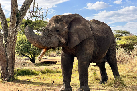 Tanzania: 8-Day The Best of Tanzania Wildlife & Culture