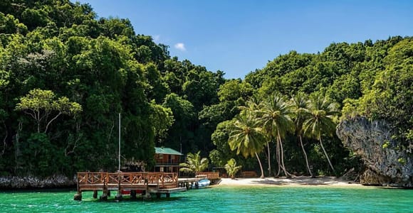 Los Haitises: Mangroves, Taíno Caves & River Adventure