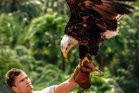 Maspalomas, Palmitos Park Ticket with Dolphin and Bird Shows - Housity