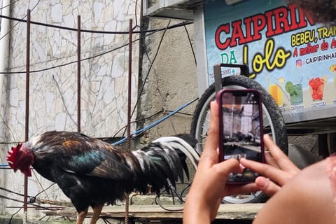 Rio de Janeiro: Special Favela Tour between Copacabana and Ipanema