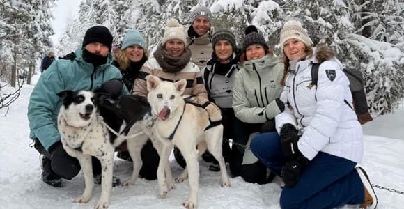Levi: 2 km Husky Sled Ride in Wilderness