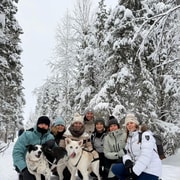 Levi: 2 km lange Husky-Schlittenfahrt in der Wildnis