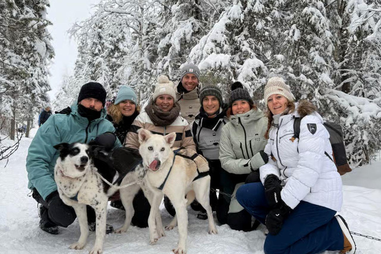 Levi: Meet Reindeer and Visit Husky Kennel