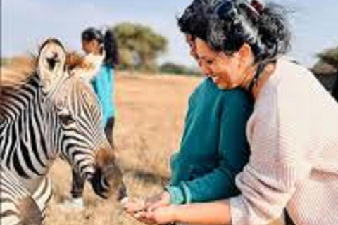 Best Single Day Serval Wildlife Sanctuary Experience