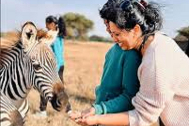 Best Single Day Serval Wildlife Sanctuary Experience