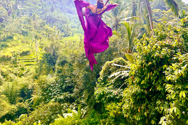 Ubud Waterfall, Temple, Rice Terrace & Art with Transfers