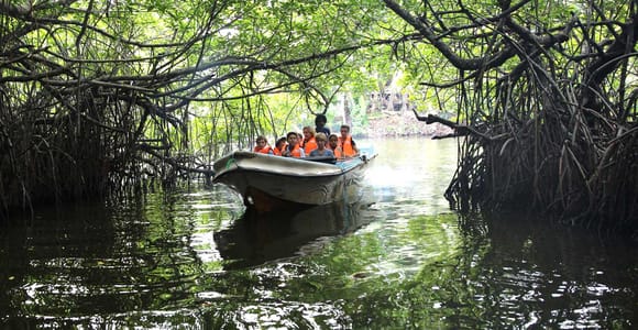 Madu River Boat Safari and Tuk-Tuk Tour Pickup & Drop-off