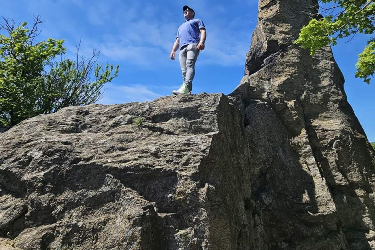 Vienna: tour privato della Wachau con Dürnstein e Melk