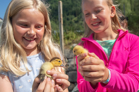 Vik i Sogn: Authentieke boerderij bezoekenVik i Sogn: Authentiek boerderijbezoek