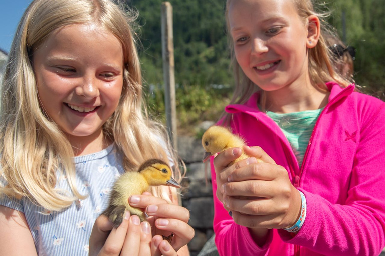 Vik i Sogn: Authentieke boerderij bezoekenVik i Sogn: Authentiek boerderijbezoek