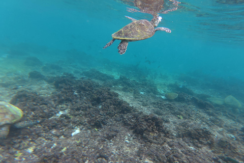 Full-Day Dimaniyat Islands Cruise with Live BBQ & Snorkeling Full Day Dimaniyat Islands Cruise with Live BBQ & Snorkeling
