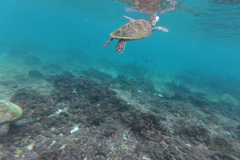 Full-Day Dimaniyat Islands Cruise with Live BBQ & Snorkeling Full Day Dimaniyat Islands Cruise with Live BBQ & Snorkeling
