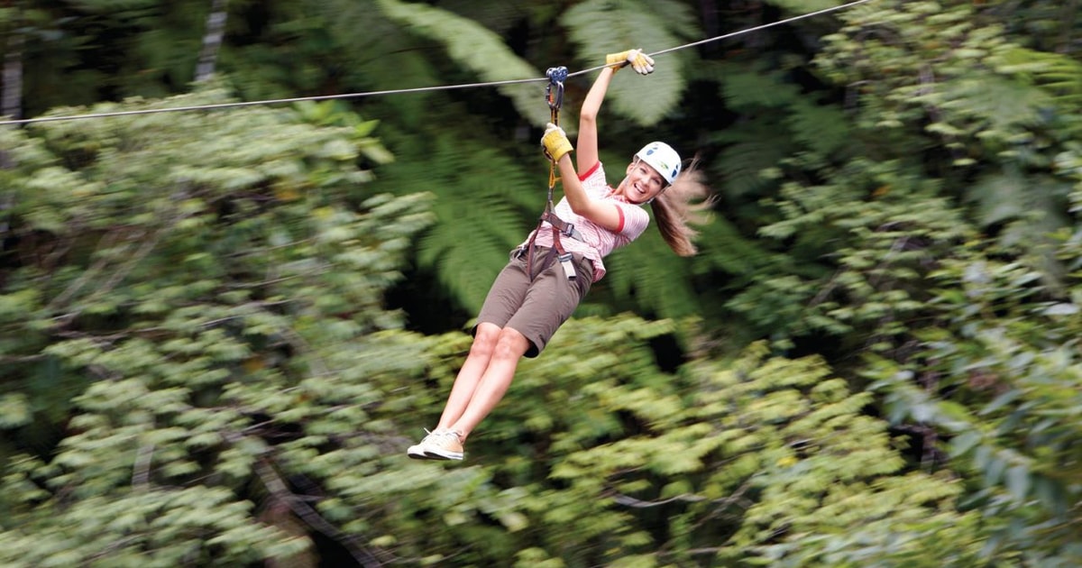 Treetops Zipline Tour mit Transfer zum Flughafen Nadi GetYourGuide