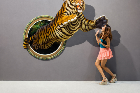 Chiang Mai: Art in Paradise Illusion Museum Entry Ticket