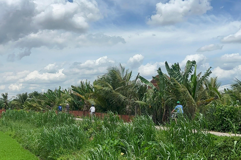 2-Day Mekong Delta Private Tour: Vinh Long, Can Tho & Sa Dec