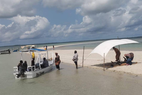 Swim with Whale Sharks in Mafia Island Flight from Zanzibar Mafia Whale Shark Adventure – Day Trip (No Flights Included)