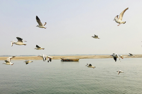 Benarés: Paseo en Crucero por el Río Ganges al Amanecer y Visita a Sarnath