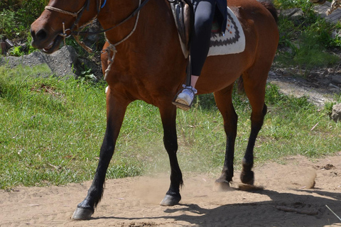 Pamucak: Horseback Riding Tour with Beach Swim