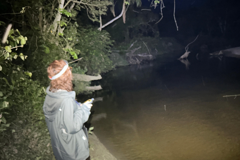 São Paulo: Forest Night Walk Tour with a Biologist