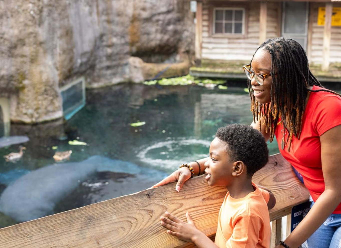 Tampa: Adgangsbillet til ZooTampa i Lowry Park